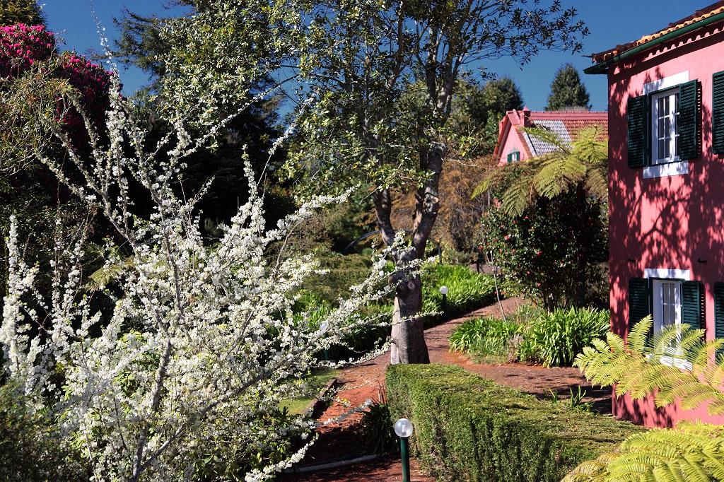Quinta Santo Antonio Da Serra Ngoại thất bức ảnh