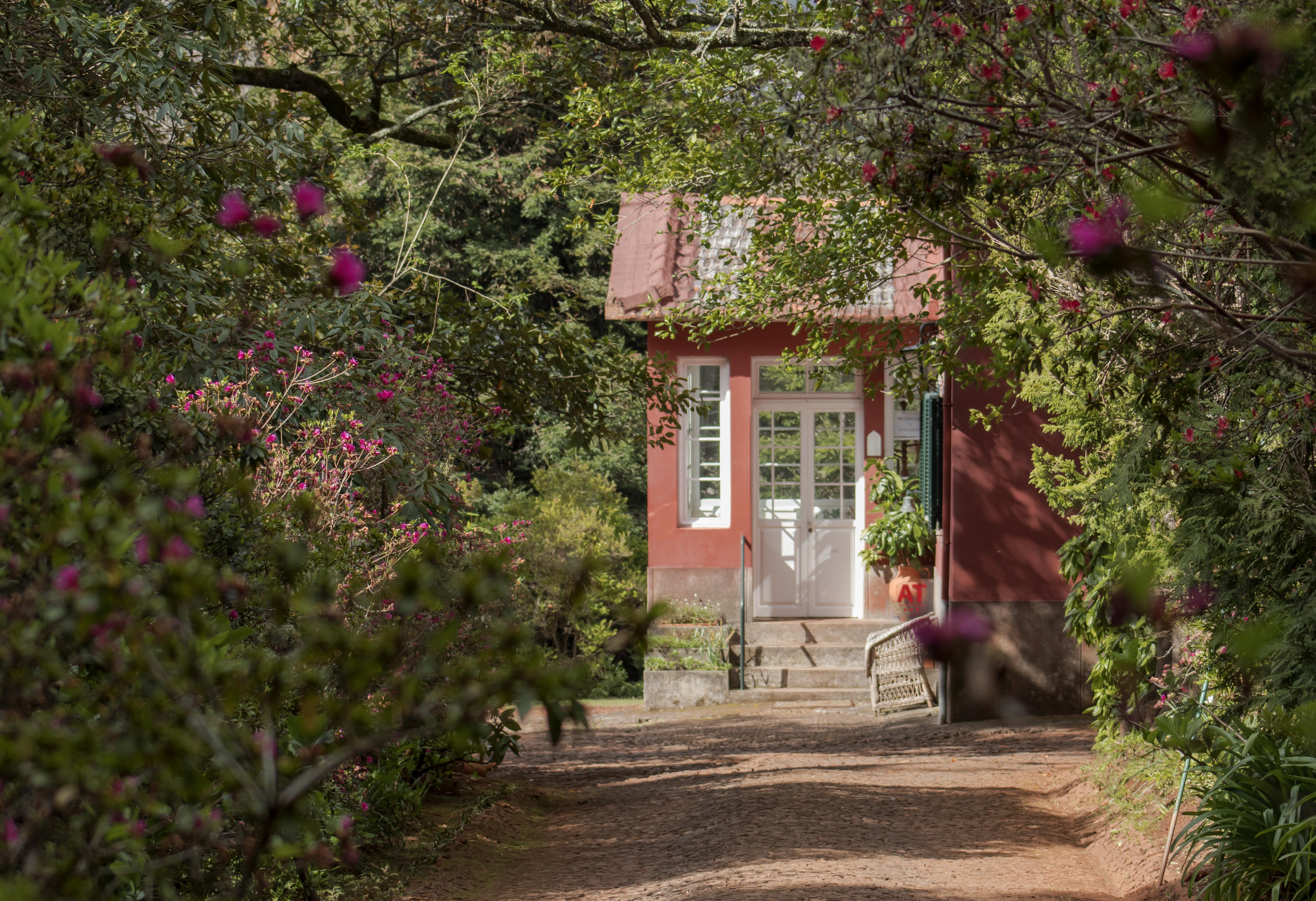 Quinta Santo Antonio Da Serra Ngoại thất bức ảnh