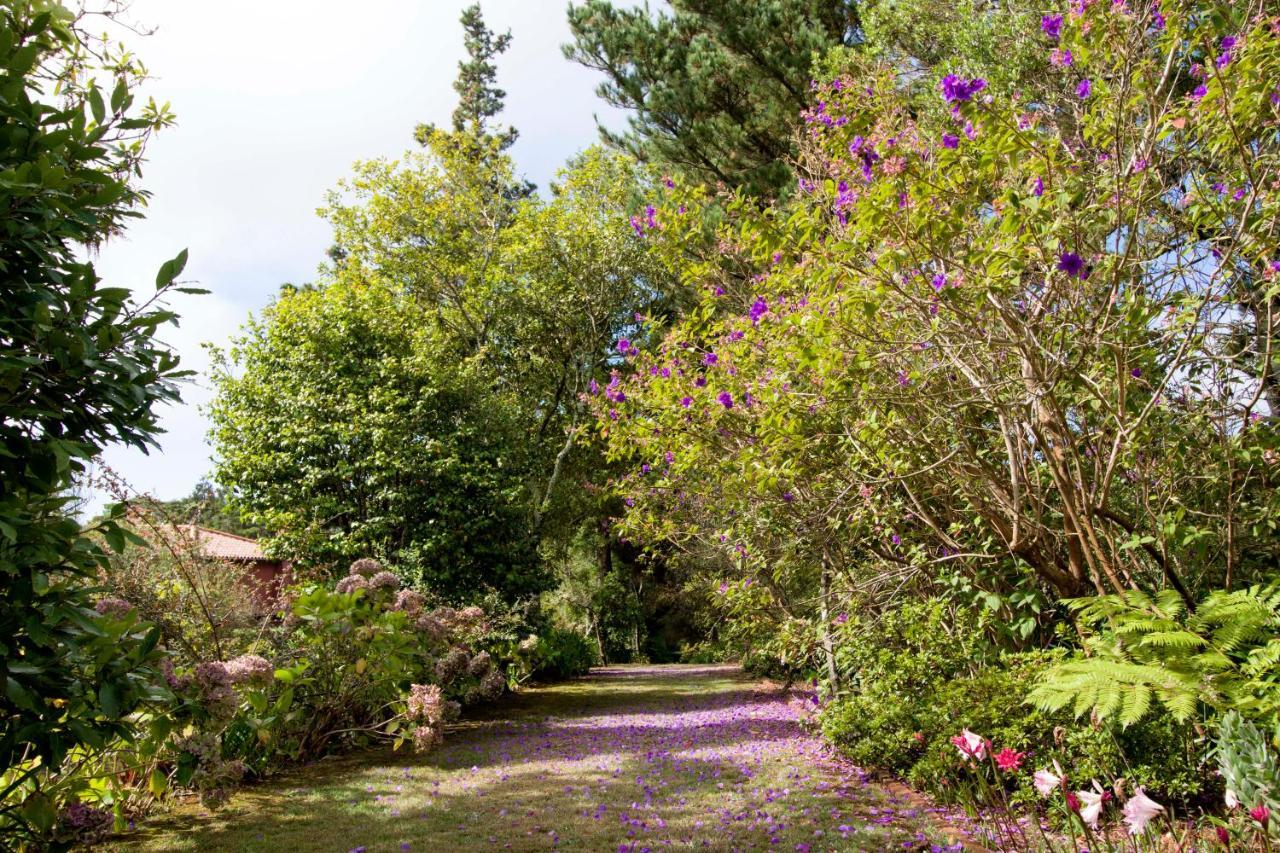 Quinta Santo Antonio Da Serra Ngoại thất bức ảnh