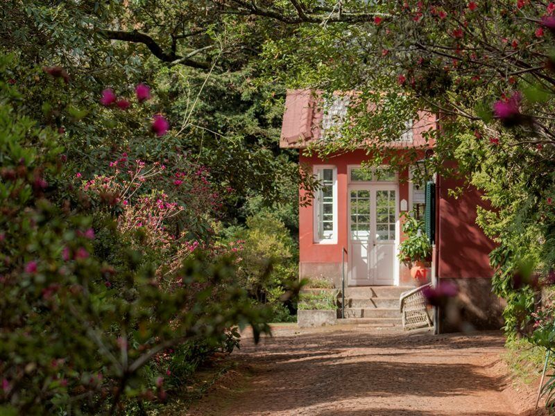 Quinta Santo Antonio Da Serra Ngoại thất bức ảnh